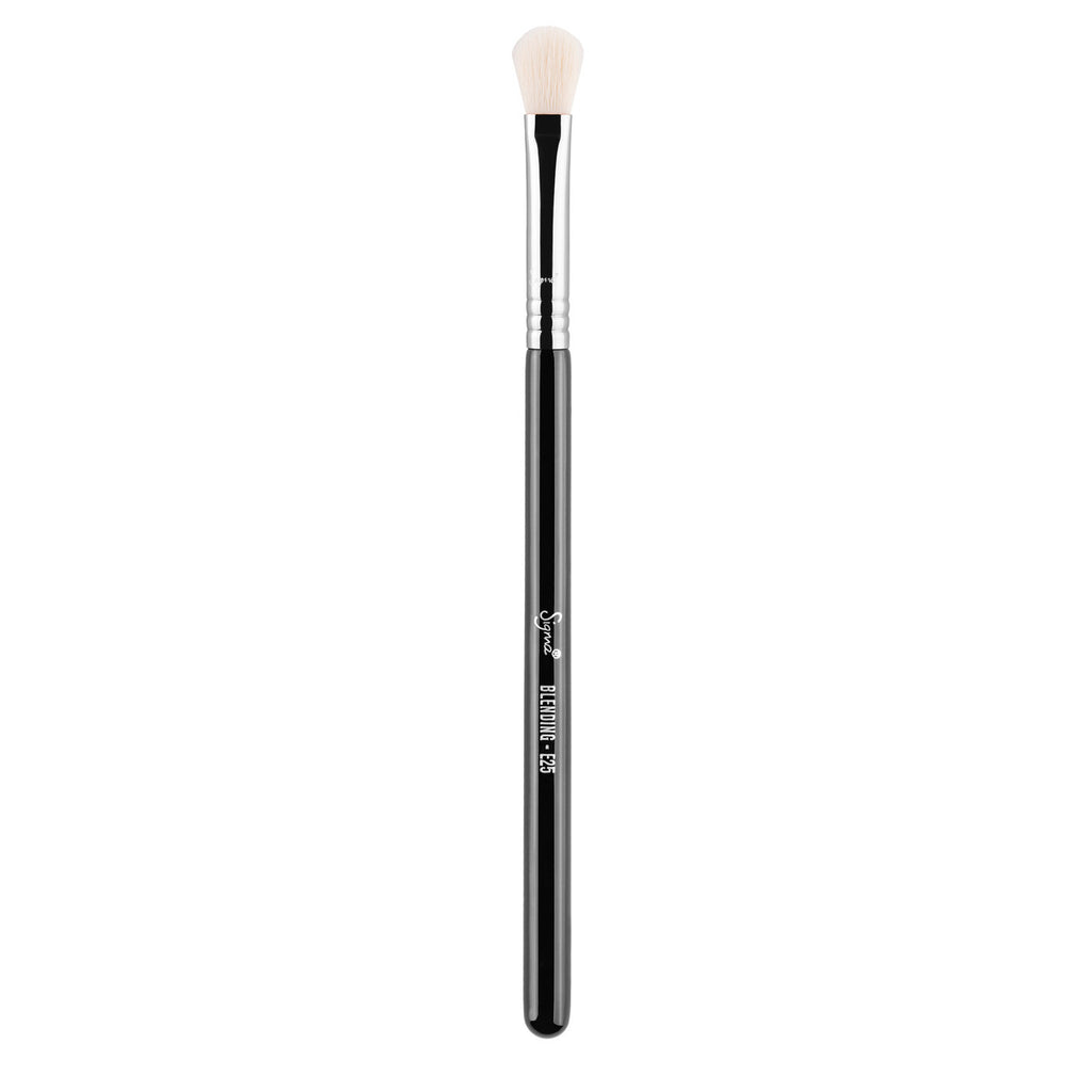 Sigma E25 Blending Brush