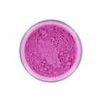 Beauty Treats x Magic USA Animal Shimmer Powder Trio