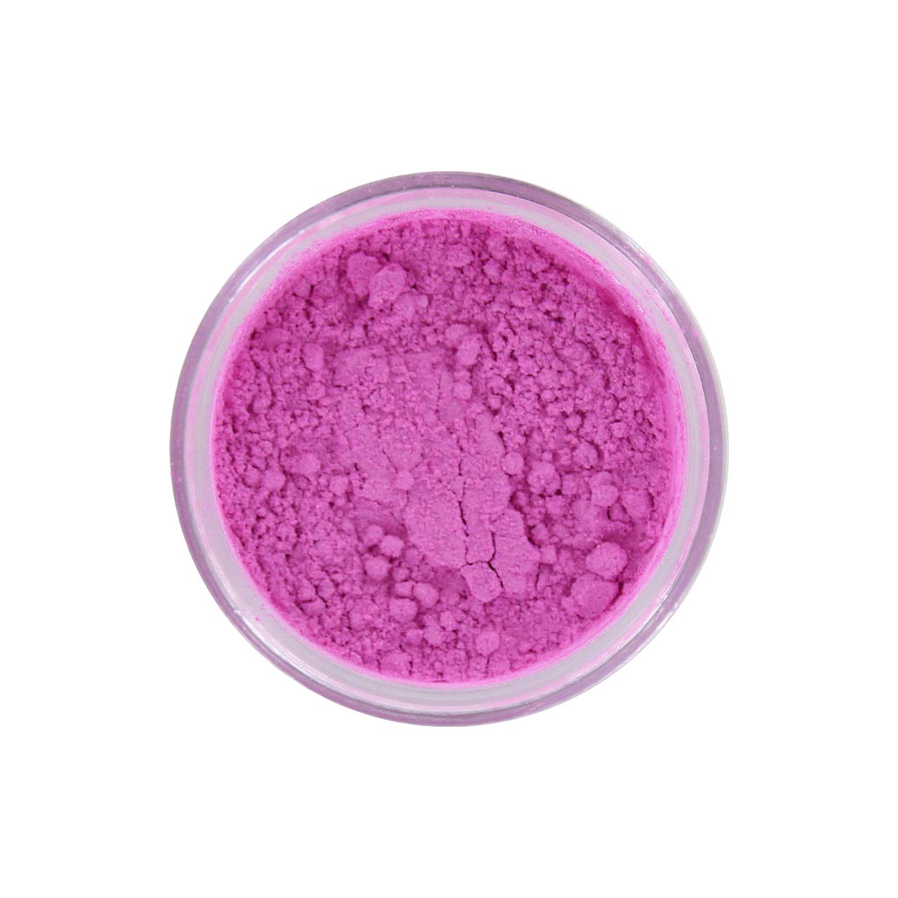 Beauty Treats x Magic USA Animal Shimmer Powder Trio