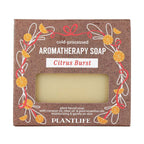 Plantlife Cold-Pressed Aromatherapy Soap - Citrus Burst 