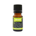 Plantlife 100% Pure Essential Oil Blend - Awake