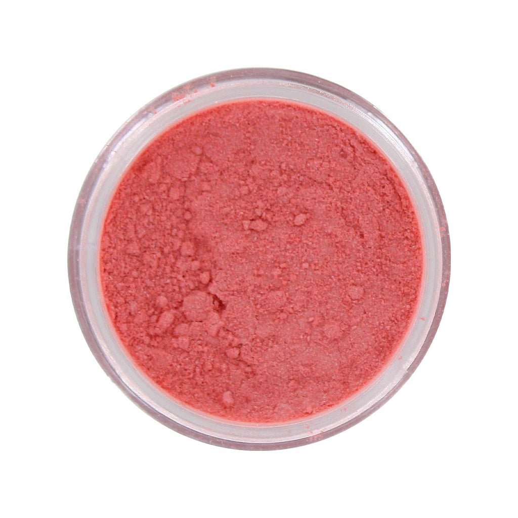 Beauty Treats x Magic USA Animal Shimmer Powder Trio