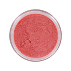 Beauty Treats x Magic USA Animal Shimmer Powder Trio