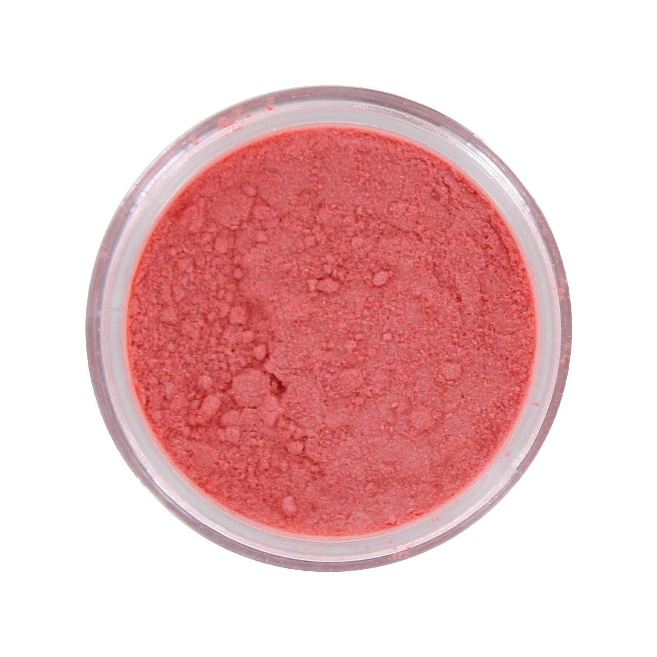Beauty Treats x Magic USA Animal Shimmer Powder Trio